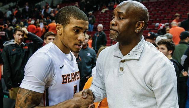 亮点值得我 亮点值得我