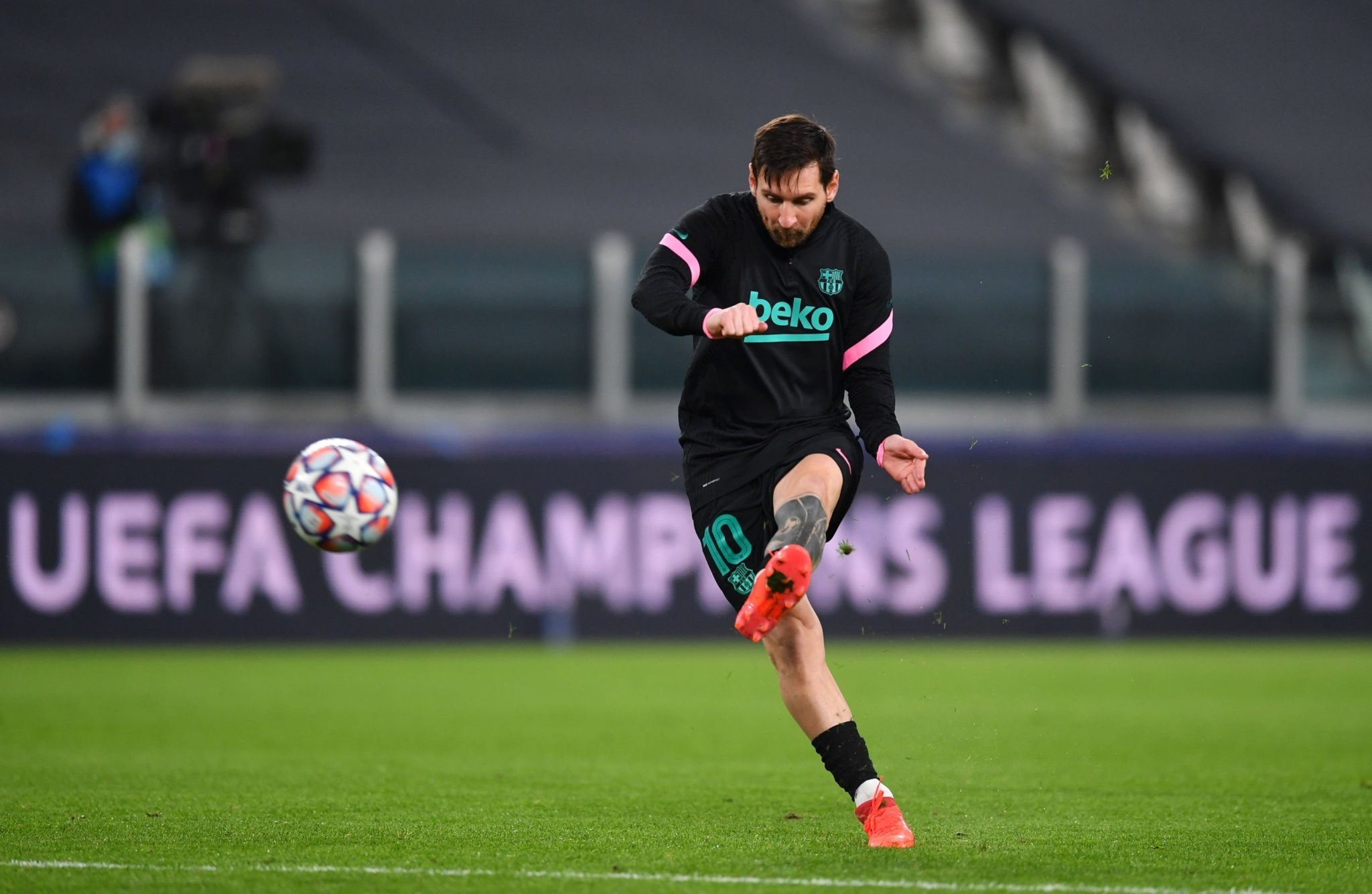 也在圈内树 也在圈内树