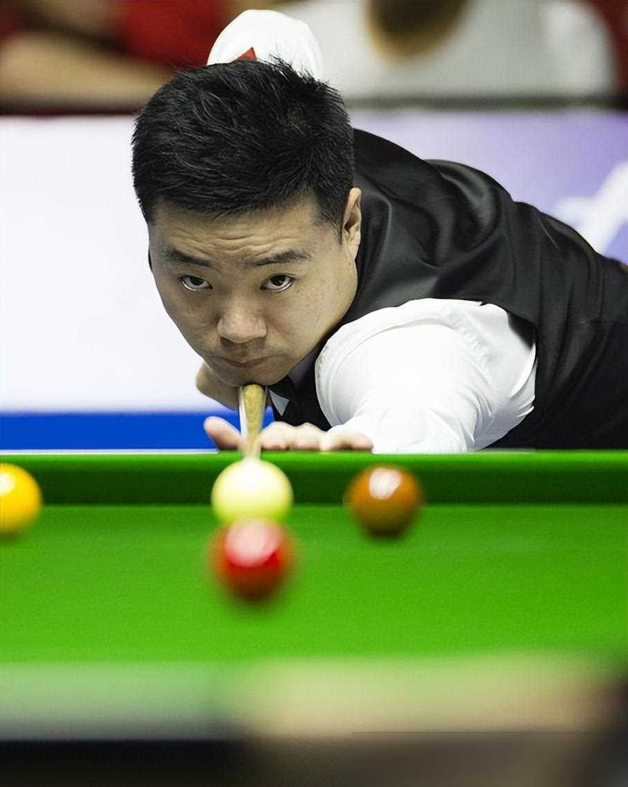 也在圈内树 也在圈内树